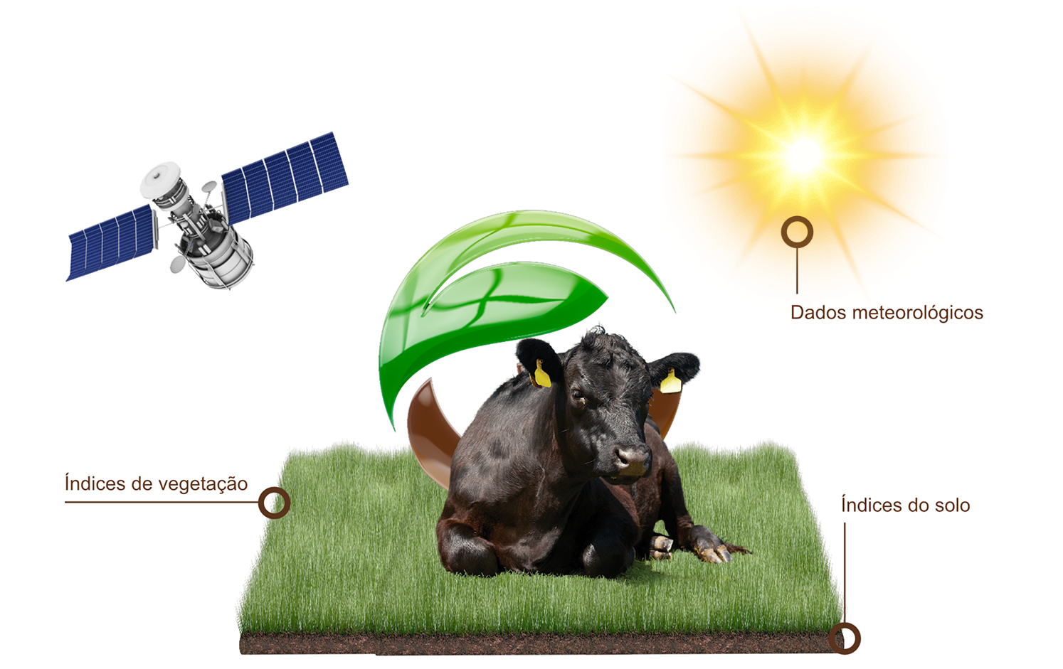 A ciência por trás da Grazing